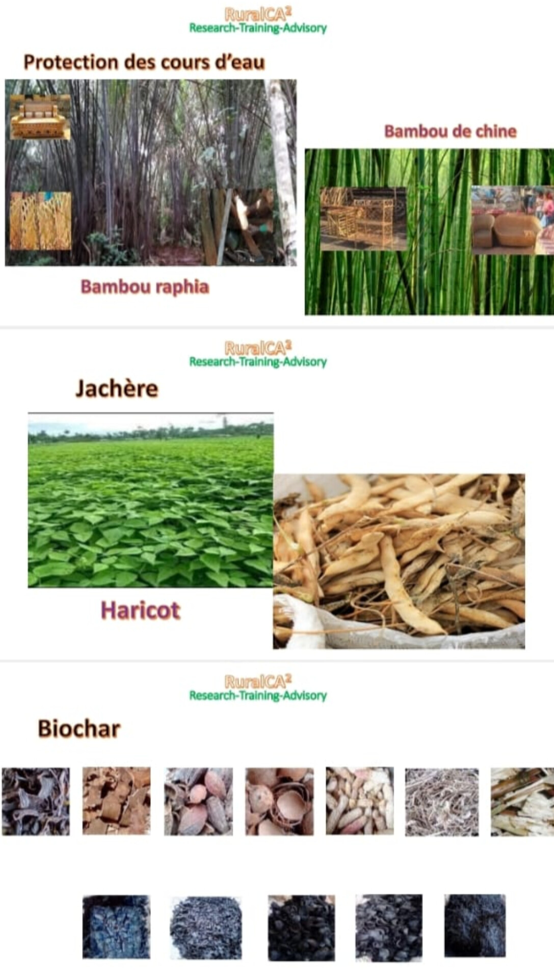 Protection cours d'eau · Jachère · Biochar